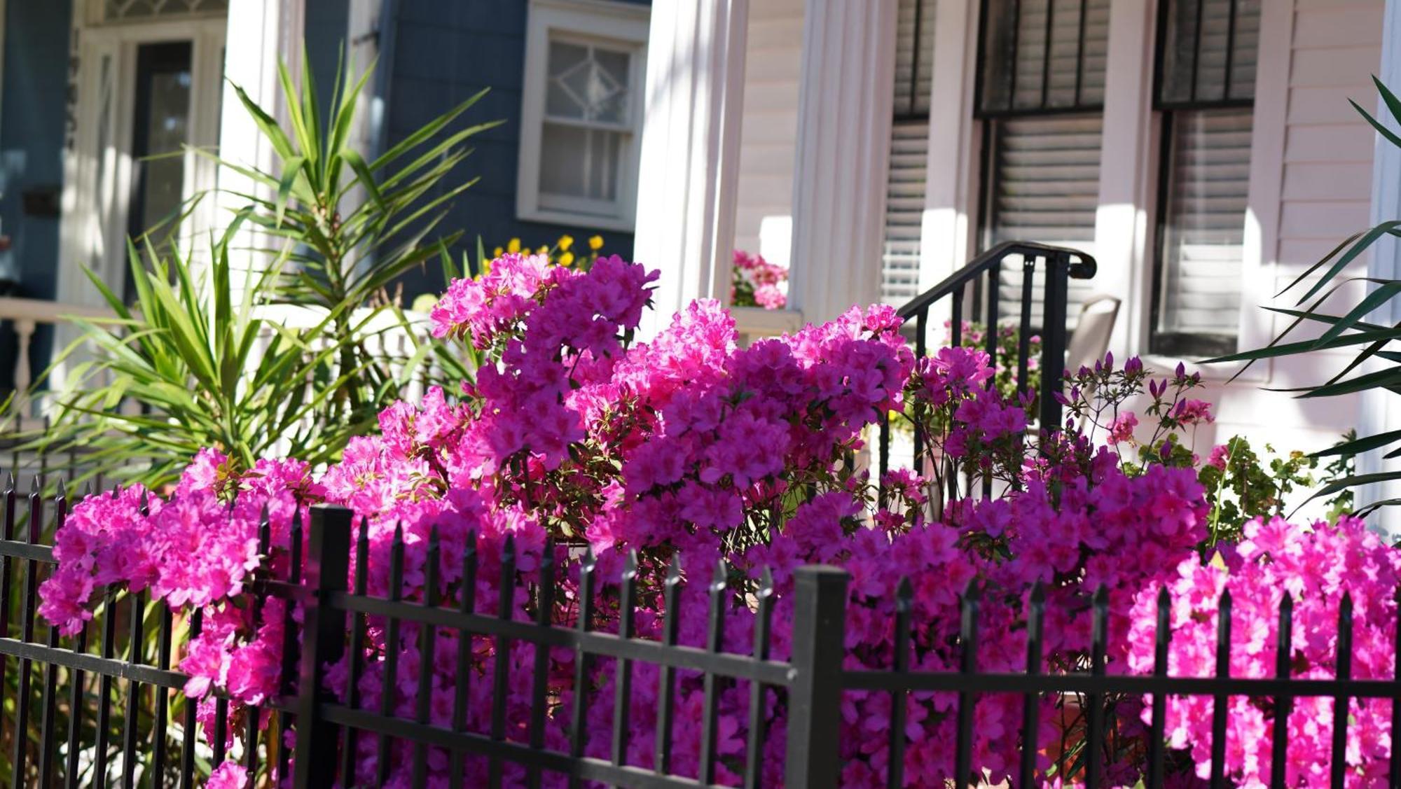 5 Bedroom Downtown Savannah Ga 外观 照片